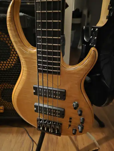 Mark sire bass, View more