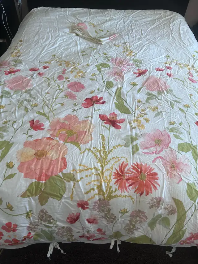 Duvet with cover and two pillowcases $120 OBO in Bedding in Ottawa - Image 3