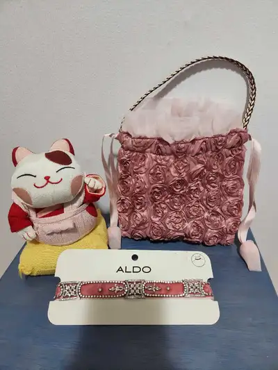 New Aldo Choker, new bag ,lucky cute cat, View more