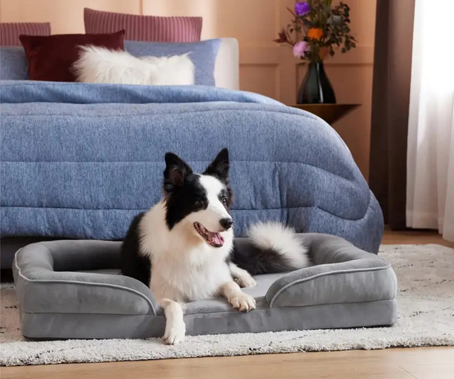 BEDSURE Large Orthopedic Dog Bed for Large Dogs in Other in City of Toronto - Image 2