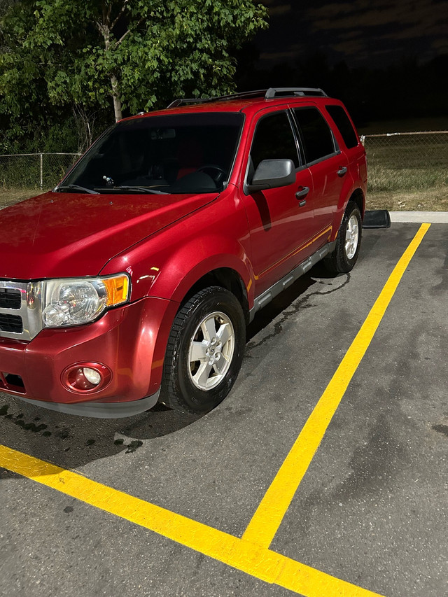 ford escape 2010 for sale in Cars & Trucks in Mississauga / Peel Region