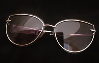New - High-end Guess Sunglasses 