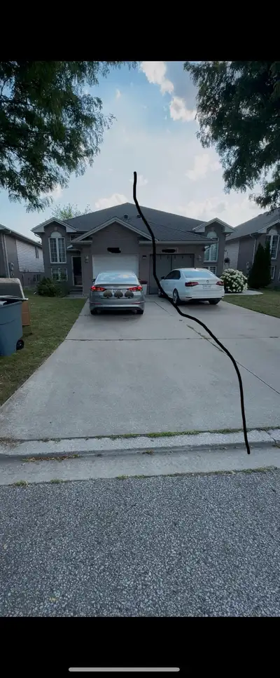 House for rent