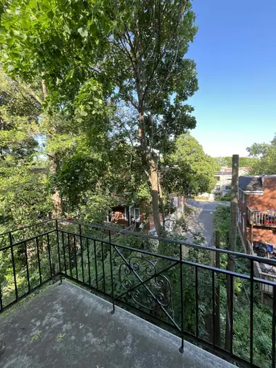 3 1/2 in CDN , newly renovated, new appliances, lease transfer!