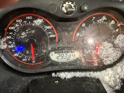 2015 Skandiak skidoo . Will trade for late calving heifers