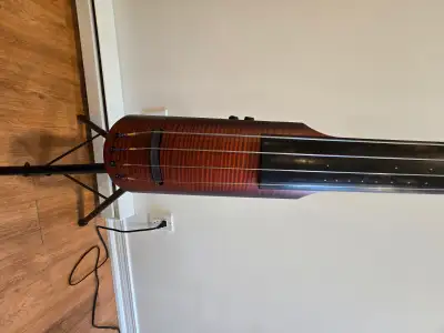 Beautiful NS electric stand up bass, View more