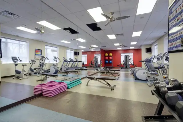 Ensuite room 4 month Spring 2026 Waterloo Near Laurier/Waterloo in Room Rentals & Roommates in Kitchener / Waterloo - Image 6