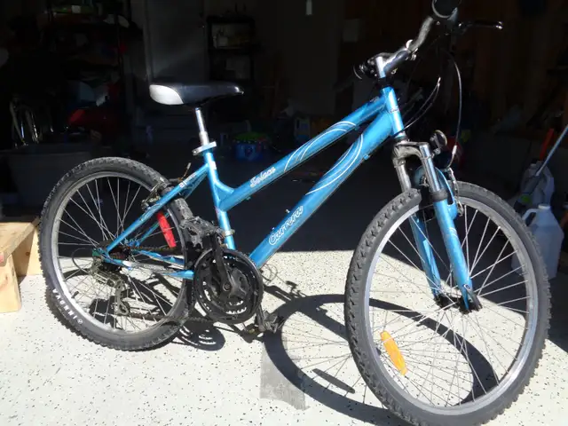 21 speed bike for only $25 in Mountain in Ottawa - Image 3