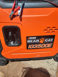 Bear Cat Generator