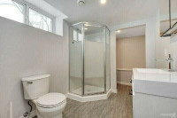 Basement/Bathroom Renovations and Repair Services from $45/hr
