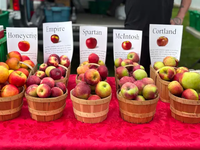 Metcalfe farmers market in Events in Ottawa - Image 5