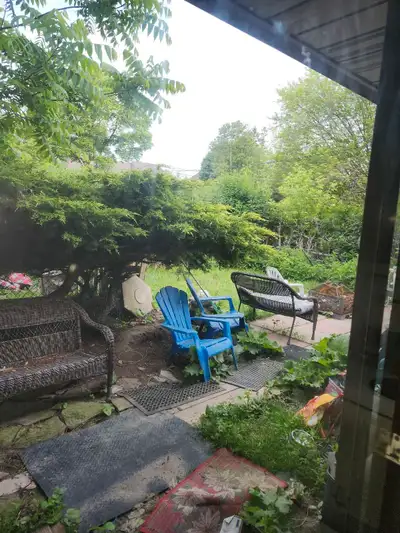 Roomate Wanted House Shared Kitchen & Washroom