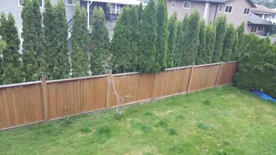 3 Bedroom, 2.5 Bathroom Home for Rent – Walnut Grove, Langley