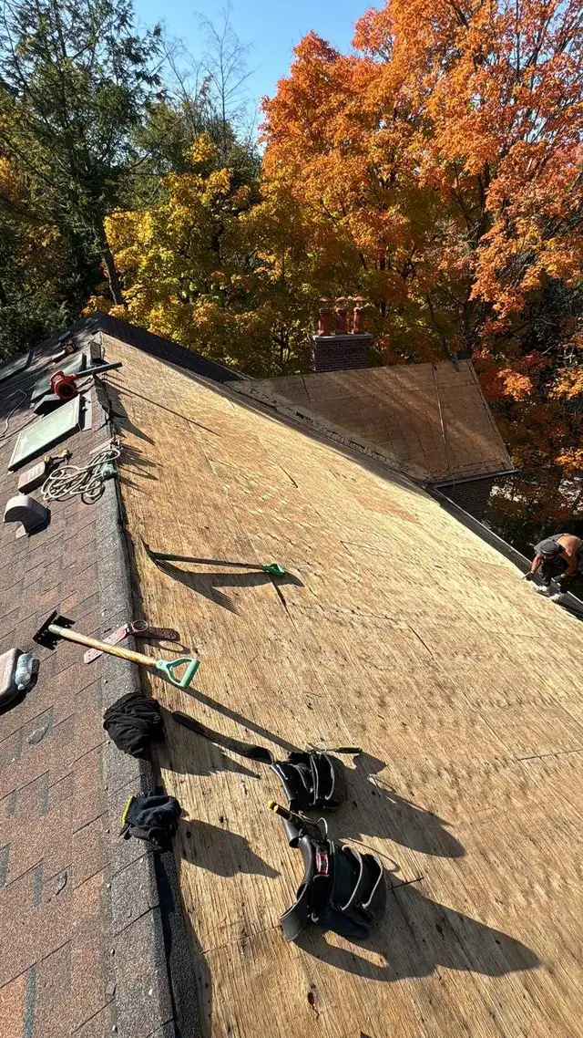 Roofing and Exterior Repairs578311275718922246