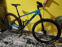 2019 Rocky Mountain Vertex Carbon 50 Mountain Bike - Large