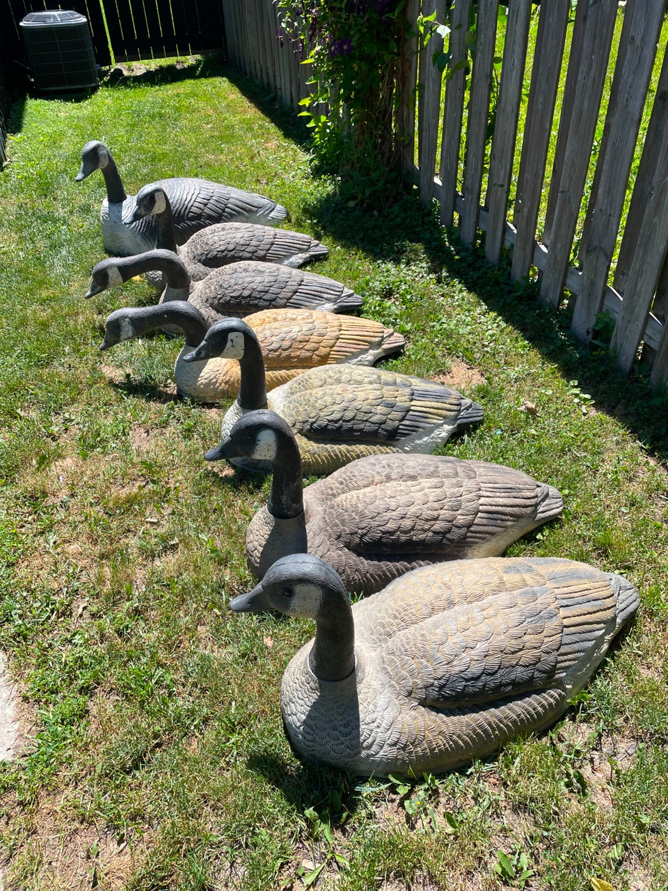 Canada Goose shell decoys, 7 total | Fishing, Camping & Outdoors ...