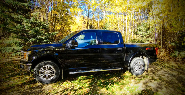 2018 Lariat, immaculate! in Cars & Trucks in St. Albert - Image 3
