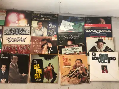 Record collection vinyl  oldies and cds, View more