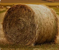 Straw bales