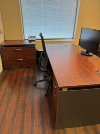 Executive Desk with File Cabinet