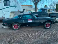 1980 Pontiac Firebird Project