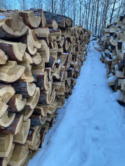 Huge XXL bags 80-100lbs $5 Stumps $15 Kiddling $25 Poplar $30 Spruce $40 Birch $40 Tamerack $40 Appl...