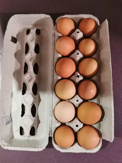 Oeufs bruns a la douzaine, View more