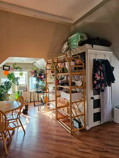 Beautiful studio suite in NW Avenues