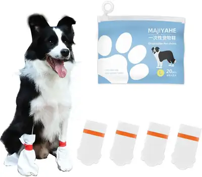 Disposable Pet Shoes - Large, View more
