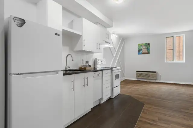 Renovated apartment in Downtown Ottawa!