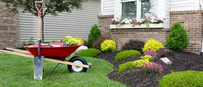 landscape maintenance & snow removal, View more