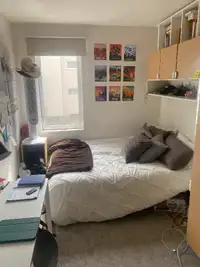 Looking for a Sublet May-August