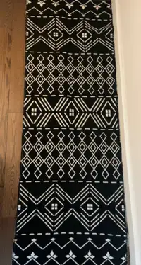 Long Beautiful Carpet $20