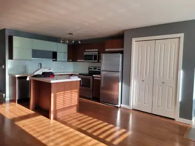 2 Bedroom condo for rent in Willowgrove