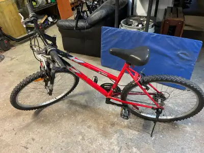 Next Laser DS Mountain Bike, View more