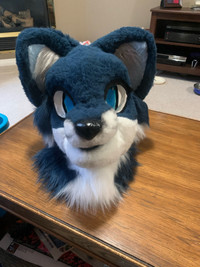 Blue fox partial for sale 