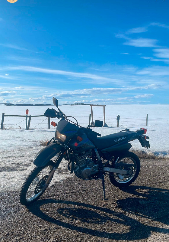 triumph tiger for sale uk