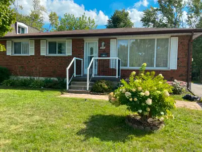 Spacious 2 bedroom basement apt for rent