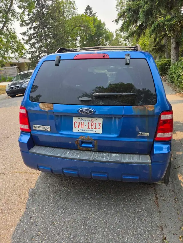 2012 Ford Escape XLT V6538448263633981442