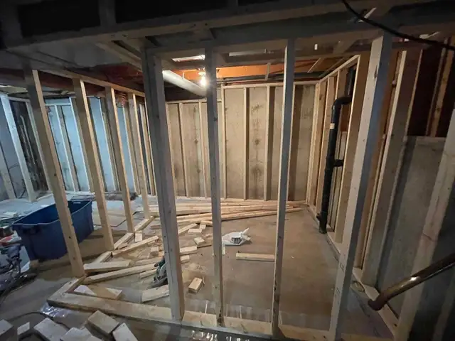 Basment renovation 546142185902592009