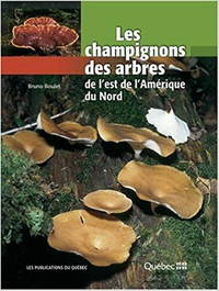 LES CHAMPIGNONS DES ARBRES DE L'EST DE L'AMÉRIQUE DU NORD