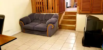 Large walkout 2-bedroom Basement, Seneca, Finch/Don Mill