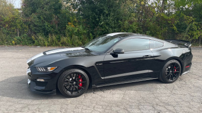 2019 Shelby Mustang GT350 Recaro Track Package No accidents Rare