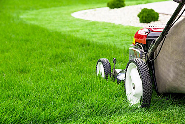 Grass cutting  in General Labour in Trenton