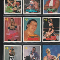 1990'S WRESTLING WF CARDS - 9 DIFFERENT - NEAR MINT