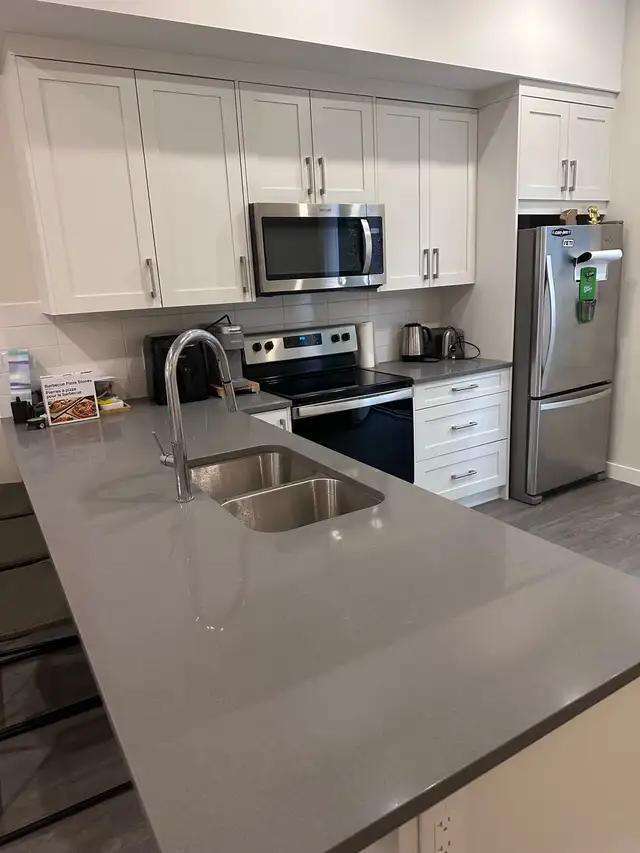  Professional Cleaning Services533461935504773123