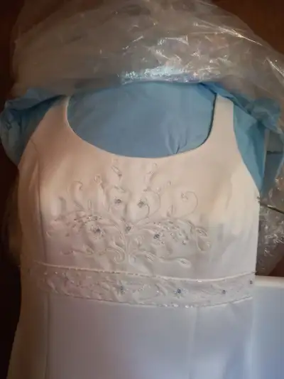 Destination Wedding Dress and Veil, View more