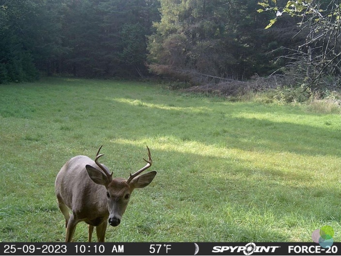 (Rare ) 150 Acres with Lake Front 1Hr North of Montreal, photo 10 of 10