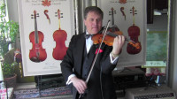 Violinist for Wedding Event