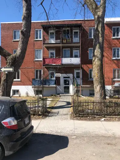 Apartment for rent